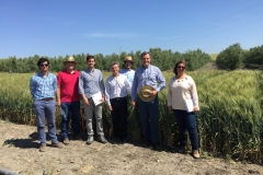 28.-Visita-a-ensayos-de-riego-en-Santaella