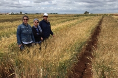 30.-Visita-de-investigadoras-del-IRTA