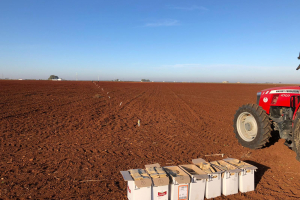 01-Siembra-ensayos-secano