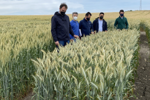 08-Con-Rumboso-en-Ecija