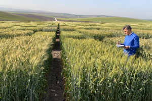 10-Ensayo-regadio-6-abril
