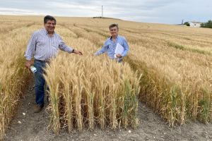 17-Visita-de-responsable-de-AGROVETE