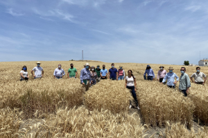 20-Reunion-de-tecnicos-con-nuevos-harineros