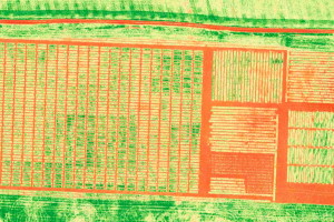 01.-NDVI-Ecija-secano