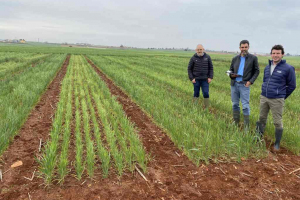 06.-Visita-de-responsable-de-BASF