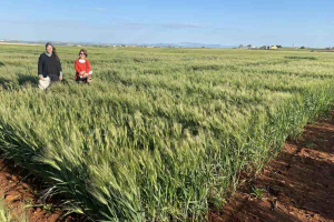 08.-Visita-de-investigadoras-del-IRTA