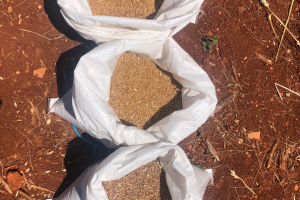 09.-Saquitos-con-cosecha