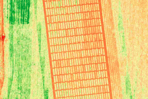 13.-NDVI-Ecija-riego