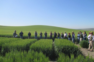 15.-Visita-de-clientes-a-ensayos-de-riego