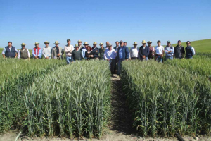 19.-Con-Rumboso-y-Saleroso