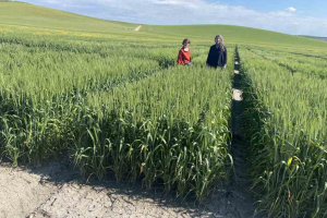 20.-Visita-investigadoras-del-IRTA