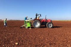 02. Siembra en Écia