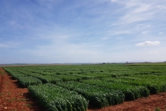 08. Ensayos de duros en marzo