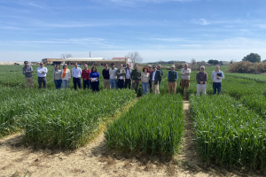 07.-Visita-del-consejo-a-los-ensayos