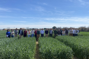 09.-Con-nuevos-triticales