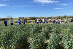 11.-Jaime-explicando-los-diferenciales-de-roya