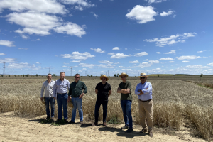 20.-Visitantes-de-GALLO