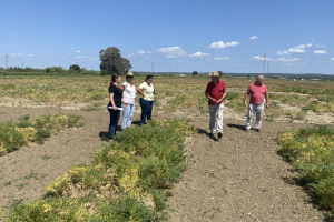 21.-Reunion-del-equipo-de-garbanzo