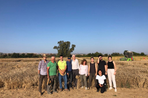 26.-Cosechando-HeWaWheat