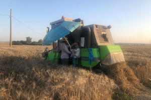 27.-Cosecha-de-ensayos-INNOVAR