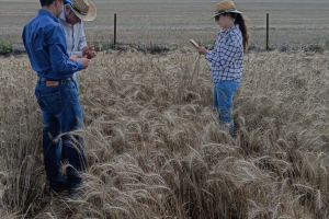 30.-Cosechando-con-Carlos-Guzman
