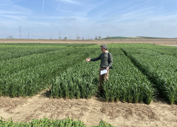 01.-Ensayos-en-marzo-2024