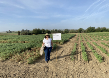 15.-Cartel-del-proyecto-BELIS