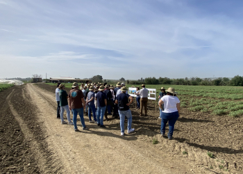 18.-Explicando-proyecto-BELIS