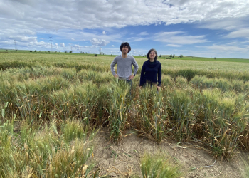 23.-Visita-coordinadores-proyecto-Wheat-Res