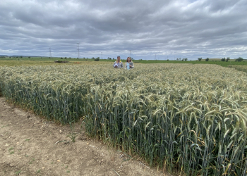 31.-Visita-responsables-de-FD