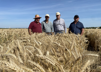 32.-Con-amigos-de-Agrovete