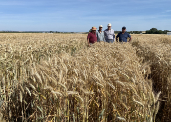 33.-Mostrando-novedades-a-Luis-y-Jose-de-Agrovete