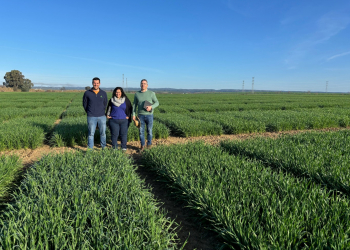 01.-Ensayos-Tejada-en-febrero