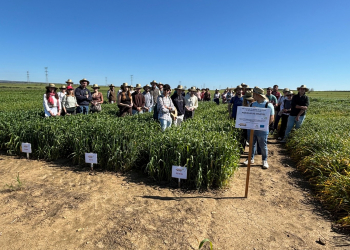 09.-Visita-alumnos-UCO-a-TRICABLAND