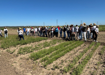 10.-Visita-alumnos-UCO-a-ensayos-del-proyecto-BELIS