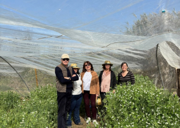 11.-Visita-de-mejoradoras-cordobesas