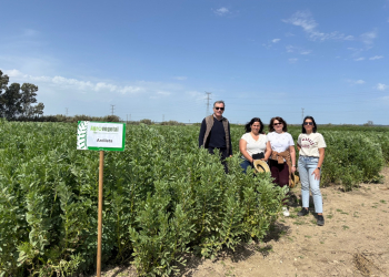 13.-Orgullosos-de-ARDILETA