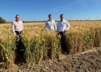 16.-Visita-de-Carlos-Guzman