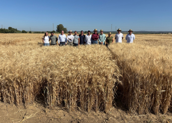 18.-Reunion-de-tecnicos-de-Agrovegetal