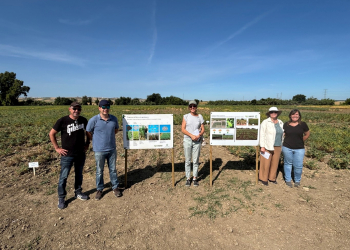 26.-Visita-de-responsables-de-OEVV-y-CPVO