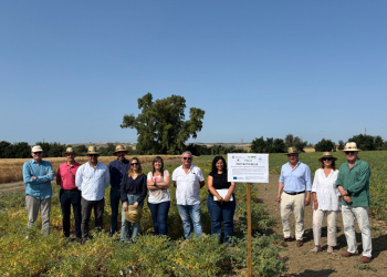 27.-Reunion-Living-Lab-BELIS