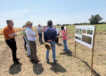 28.-Inma-explicando-programa-mejora-de-garbanzos