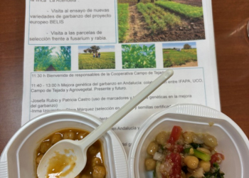 32.-Cata-de-platos-de-garbanzos