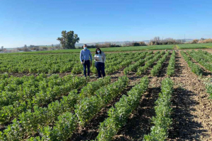 02.-Ensayos-de-habines