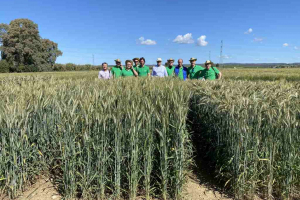 09.-Representantes-de-Adaglio-en-ensayos-de-triticale
