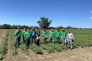 10.-Visita-a-ensayos-de-garbanzo