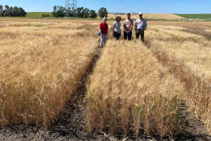 21.-Visita-investigadores-UPM-a-INNOVAR