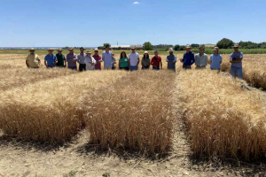 25.-Reunion-de-tecnicos-de-Agrovegetal