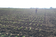 01.-Ensayos-EUCLEG-naciendo