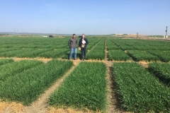 04.-Ensayos-en-febrero